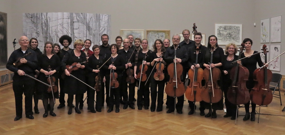 Strijkorkest de Haagse Beek november 2014